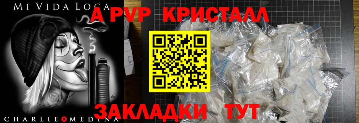 A PVP СК КРИС Березники