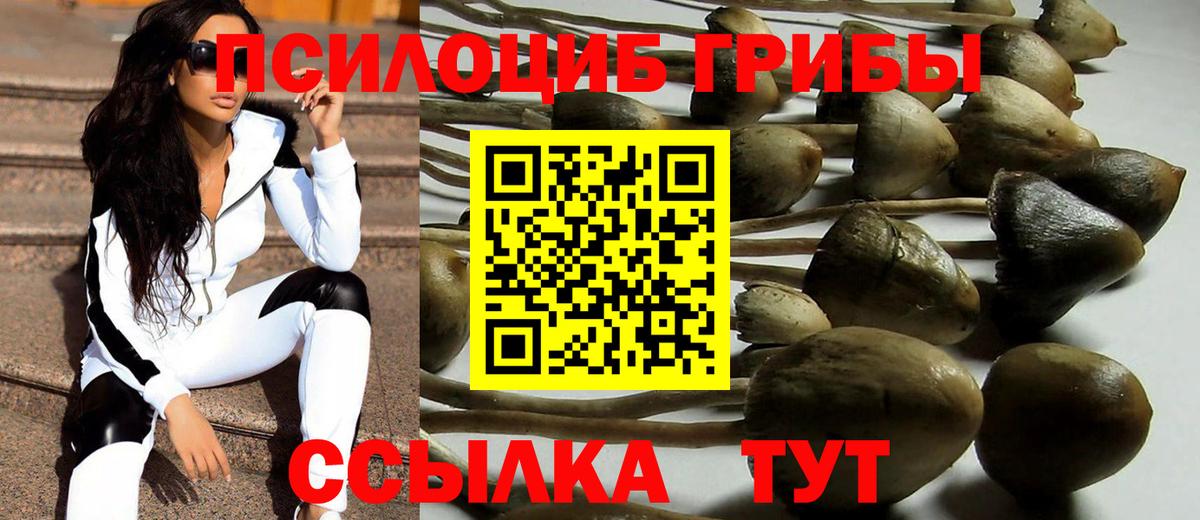 Псилоцибиновые грибы ЛСД Березники